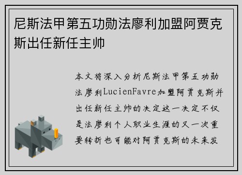 尼斯法甲第五功勋法廖利加盟阿贾克斯出任新任主帅